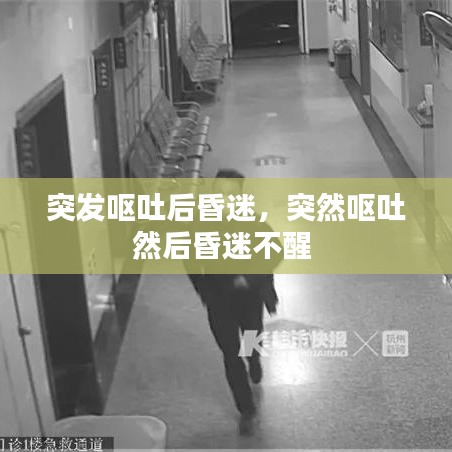 展翅欲飞 第5页