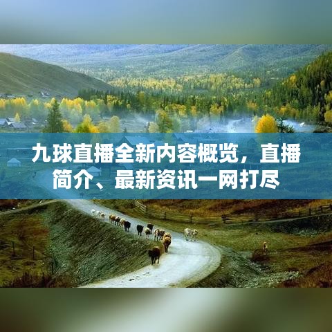 九球直播全新内容概览，直播简介、最新资讯一网打尽