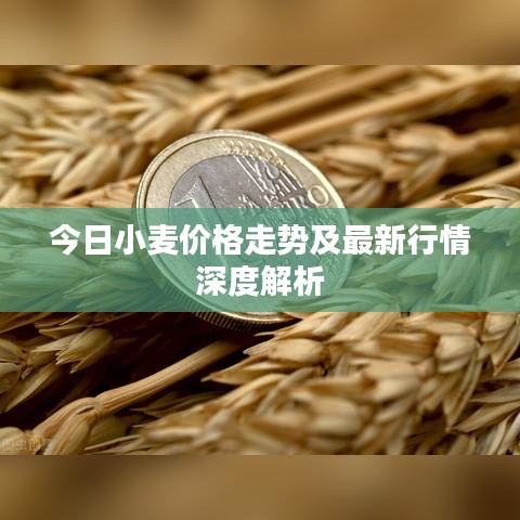 台球房用品 第140页