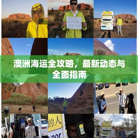 澳洲海运全攻略，最新动态与全面指南