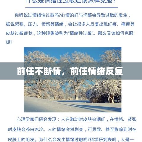 前任不断情,前任情绪反复