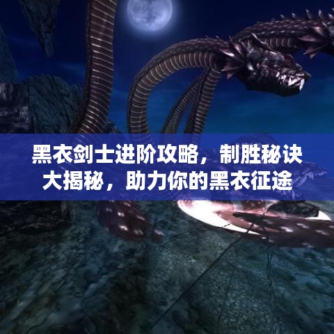 黑衣剑士进阶攻略，制胜秘诀大揭秘，助力你的黑衣征途