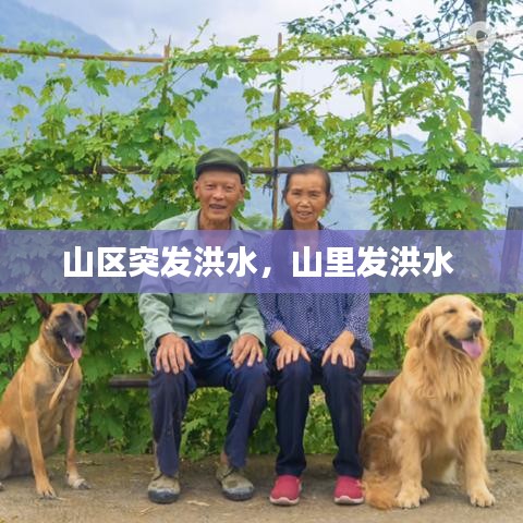 山区突发洪水，山里发洪水 