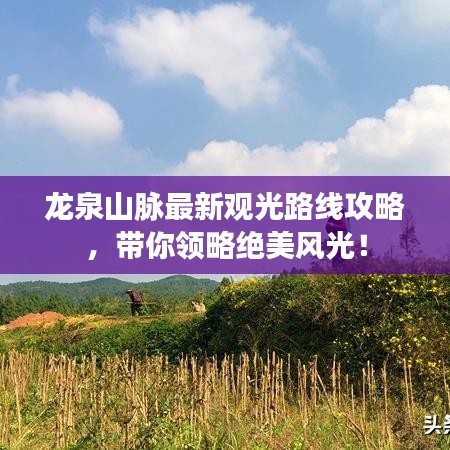 龙泉山脉最新观光路线攻略,带你领略绝美风光!
