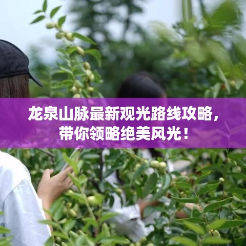 龙泉山脉最新观光路线攻略,带你领略绝美风光!