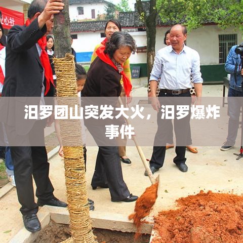 汨罗团山突发大火，汨罗爆炸事件 