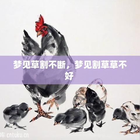 梦见草割不断，梦见割草草不好 