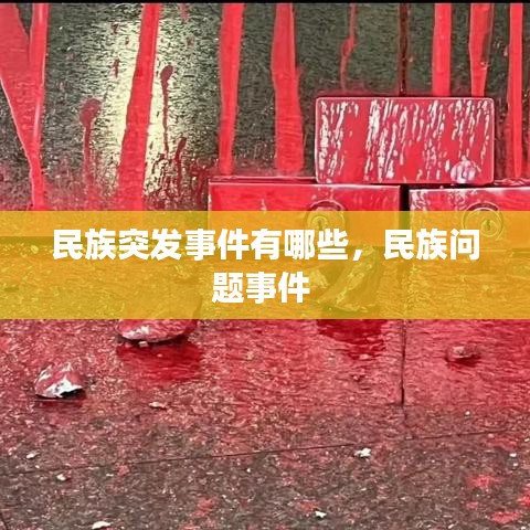 民族突发事件有哪些,民族问题事件
