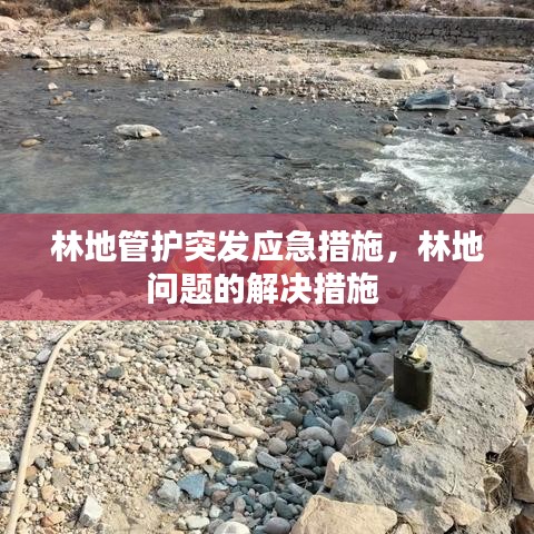 林地管护突发应急措施,林地问题的解决措施