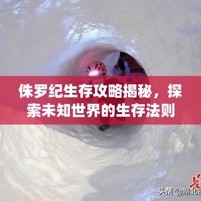 侏罗纪生存攻略揭秘，探索未知世界的生存法则！