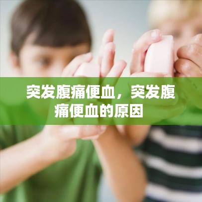 突发腹痛便血，突发腹痛便血的原因 