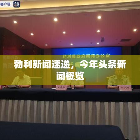 勃利新闻速递，今年头条新闻概览