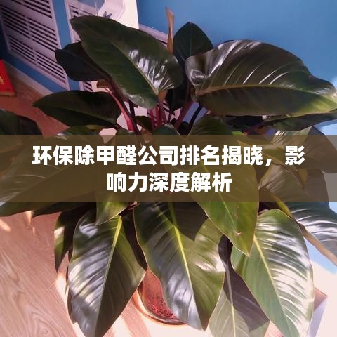 环保除甲醛公司排名揭晓,影响力深度解析