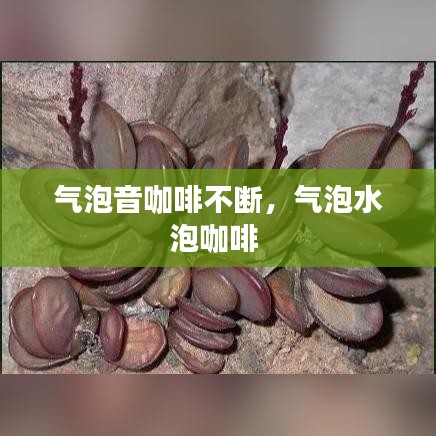 气泡音咖啡不断,气泡水泡咖啡