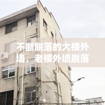 如鸟兽散 第6页