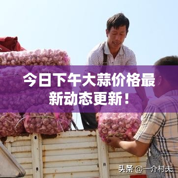 今日下午大蒜价格最新动态更新！