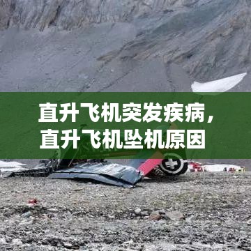 资质荣誉 第141页