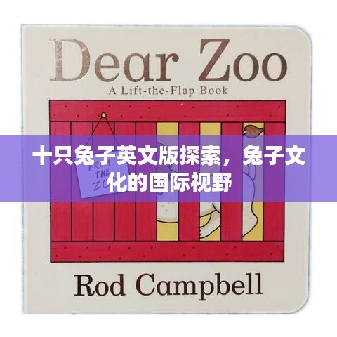 台球房用品 第138页