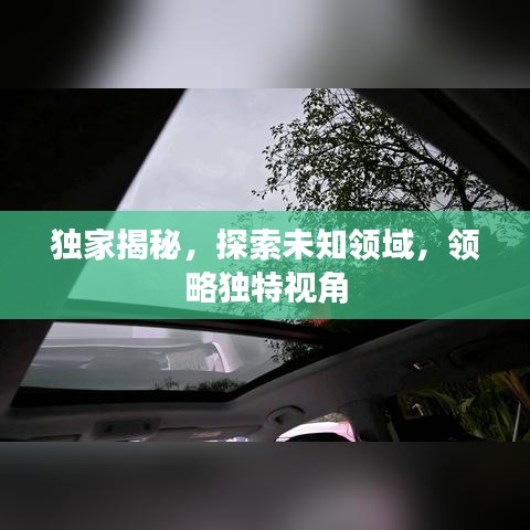 独家揭秘，探索未知领域，领略独特视角