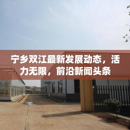 精品斯诺克台球桌 第152页