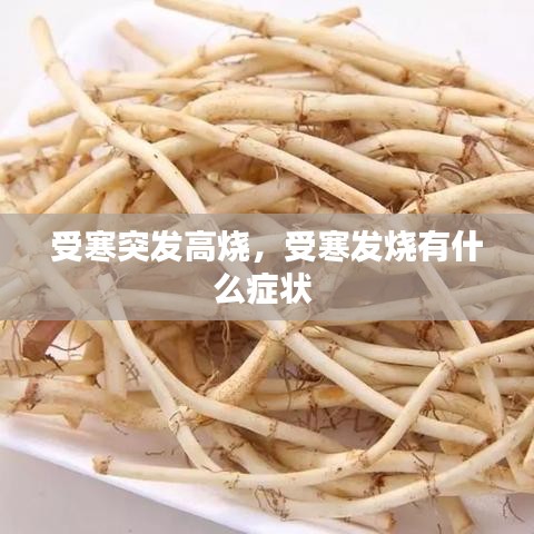 受寒突发高烧,受寒发烧有什么症状