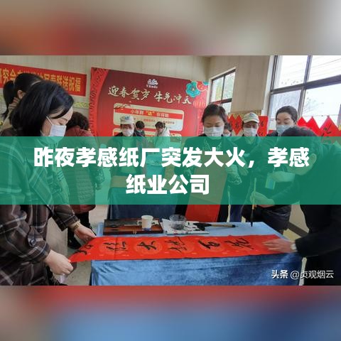 昨夜孝感纸厂突发大火，孝感纸业公司 