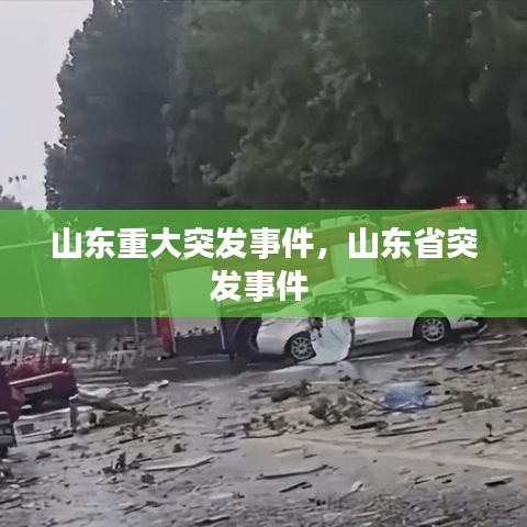 山东重大突发事件，山东省突发事件 