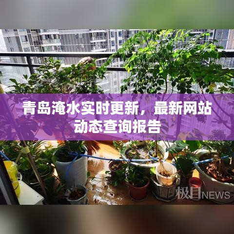 青岛淹水实时更新，最新网站动态查询报告