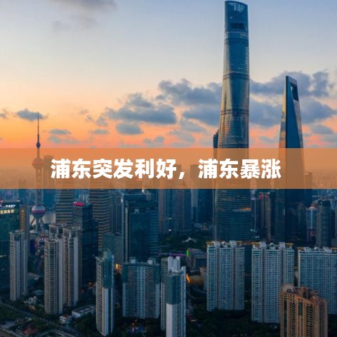 浦东突发利好，浦东暴涨 