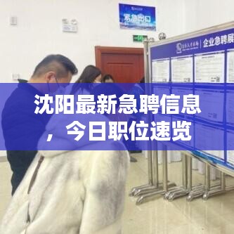 沈阳最新急聘信息，今日职位速览