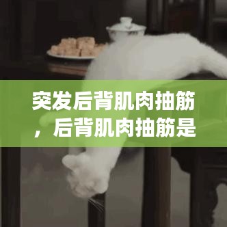 突发后背肌肉抽筋，后背肌肉抽筋是怎么回事 