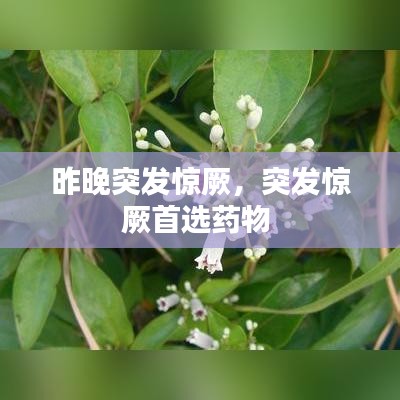 云屯鸟散 第6页