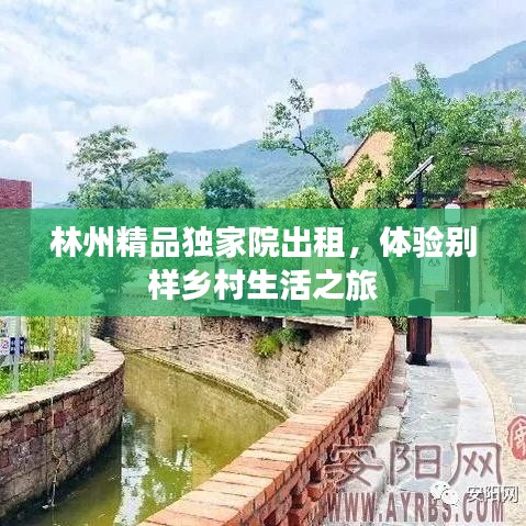 林州精品独家院出租,体验别样乡村生活之旅