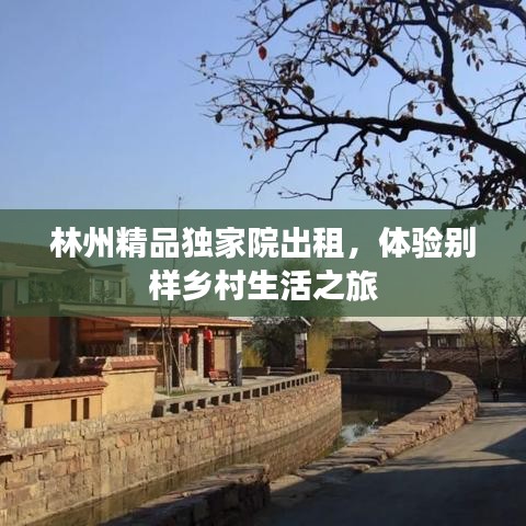 林州精品独家院出租,体验别样乡村生活之旅