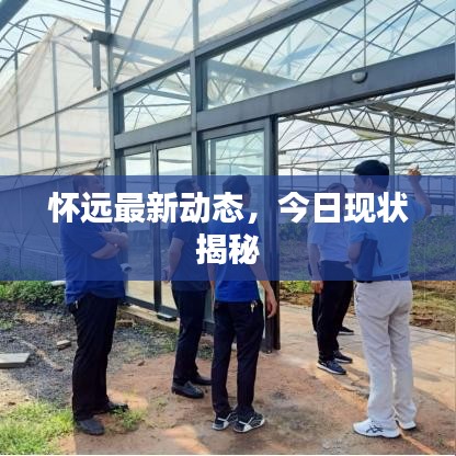 怀远最新动态，今日现状揭秘