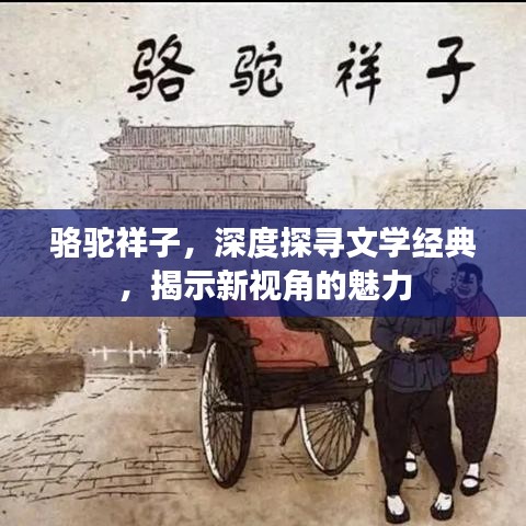 骆驼祥子，深度探寻文学经典，揭示新视角的魅力