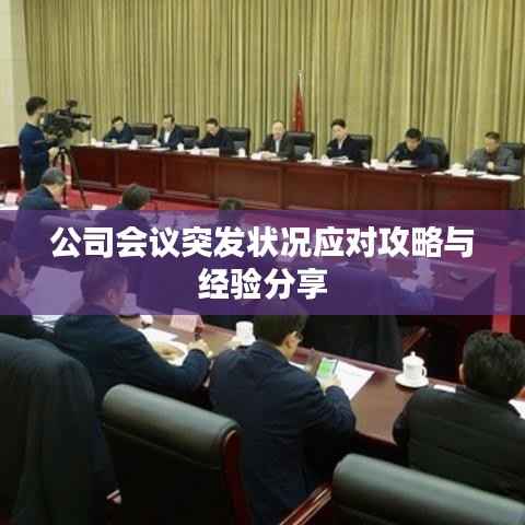 公司会议突发状况应对攻略与经验分享