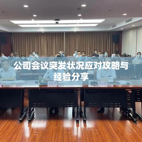 公司会议突发状况应对攻略与经验分享