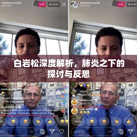 白岩松深度解析,肺炎之下的探讨与反思