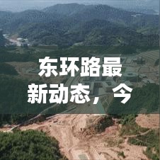 东环路最新动态,今日新闻一览