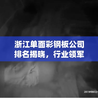 浙江单面彩钢板公司排名揭晓，行业领军者榜单