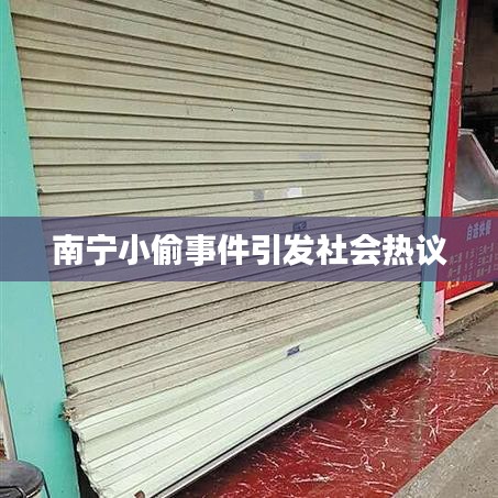 南宁小偷事件引发社会热议