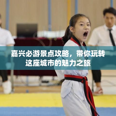 嘉兴必游景点攻略，带你玩转这座城市的魅力之旅