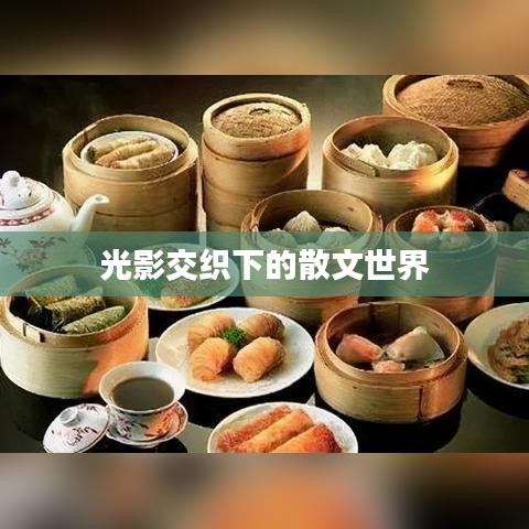 光影交织下的散文世界