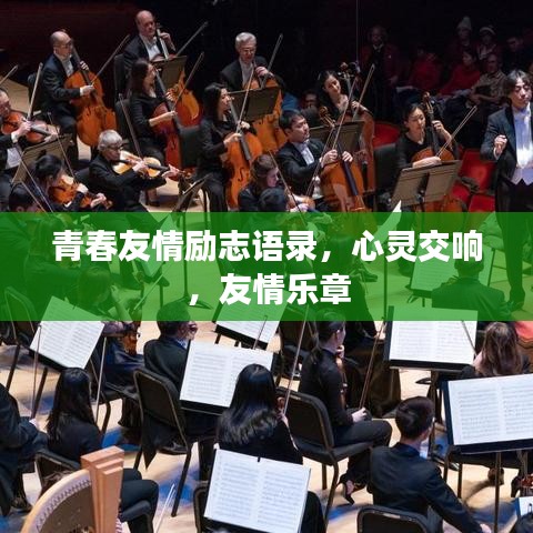 青春友情励志语录，心灵交响，友情乐章