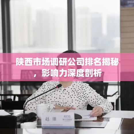 陕西市场调研公司排名揭秘，影响力深度剖析