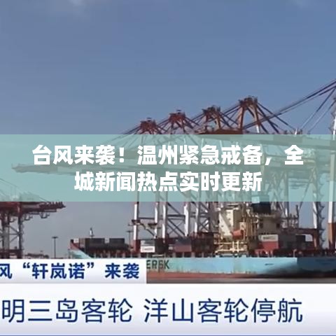 台风来袭!温州紧急戒备,全城新闻热点实时更新