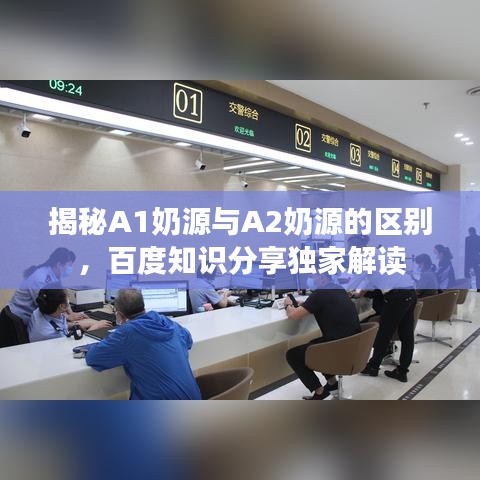 揭秘A1奶源与A2奶源的区别，百度知识分享独家解读