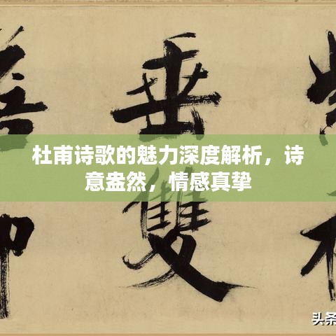 杜甫诗歌的魅力深度解析，诗意盎然，情感真挚