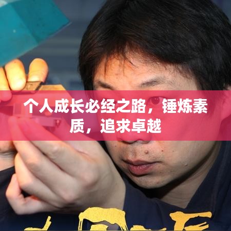 个人成长必经之路，锤炼素质，追求卓越